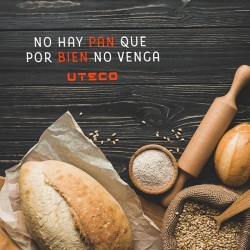 Bandeja exhibidora 10'' c/cover